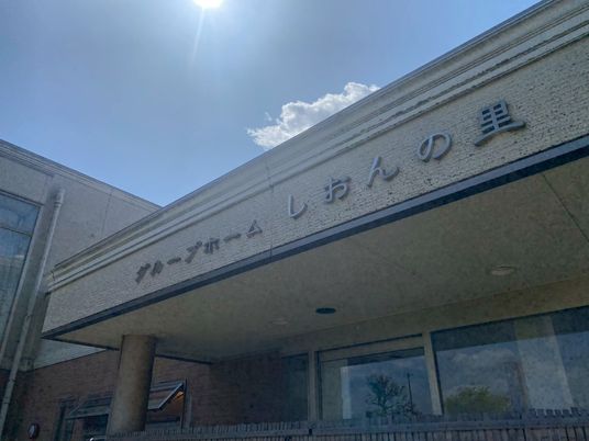 日差しが照らす看板