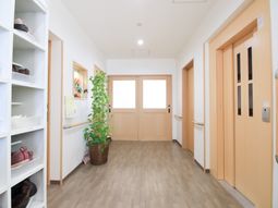 明るい廊下と植物