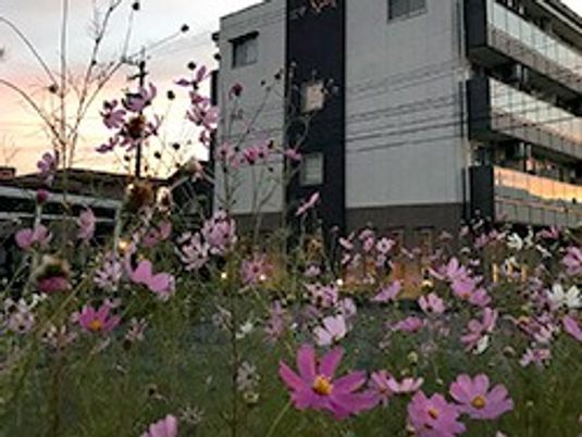 花壇のある建物外観  