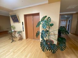 観葉植物が飾られたエレベーター前