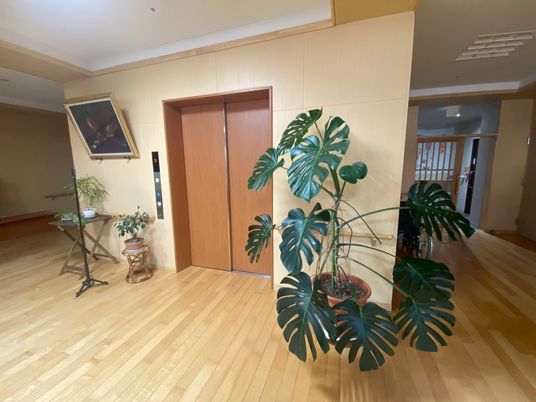 清潔感ある廊下