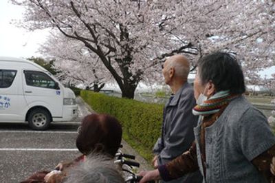 桜の下で過ごす前庭