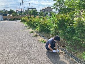 庭の手入れをする人と通路  