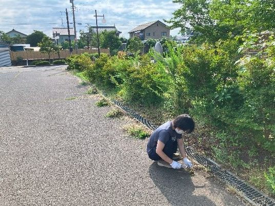 庭の手入れをする人と通路  