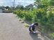 介護老人保健施設 あじさい 理学療法士（日勤専従）（正社員）