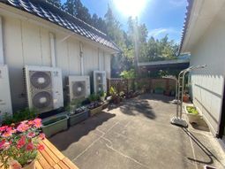 陽光が差し込む庭