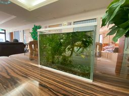 観葉植物のある空間