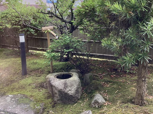 緑のある庭  