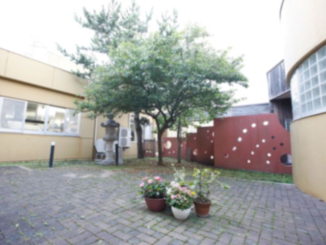 のどかな中庭 中庭 ゆったりとした空間に彩り豊かな植物が飾られており、心地よいひとときを過ごせます。