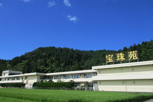 緑に囲まれた施設外観  