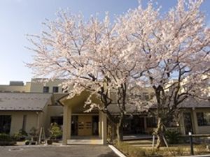 桜が咲く施設外観  