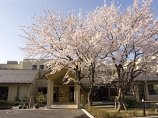 桜が咲く施設外観  