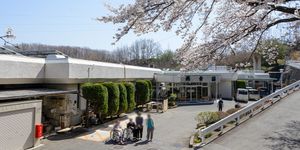 桜咲く外観