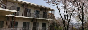 桜の木が見える外観  