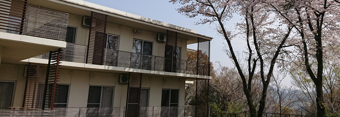 桜の木が見える外観  