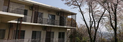 桜の木が見える外観