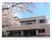 桜と施設の外観