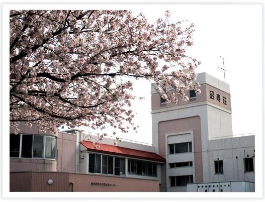 桜のある建物外観