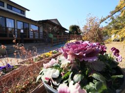 色とりどりの花と建物