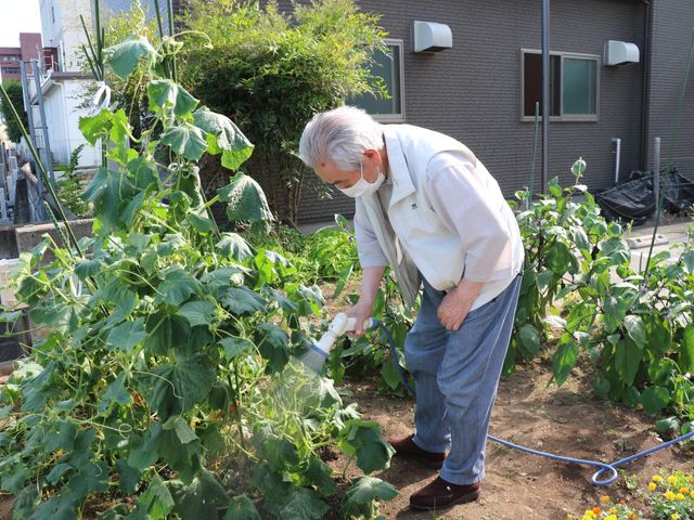 植物に水やりする様子 庭 利用者が庭で植物に水やりをしています。自然とのふれあいが豊かな環境を提供します。