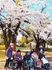 桜と共に春を感じる空間