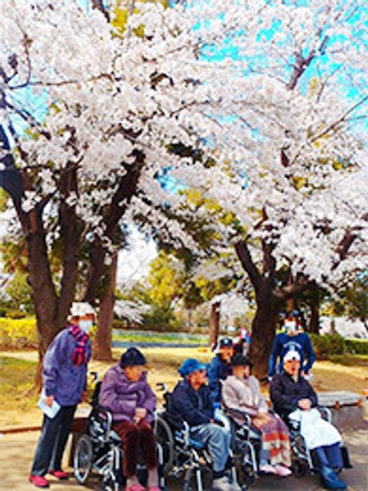 桜と共に春を感じる空間