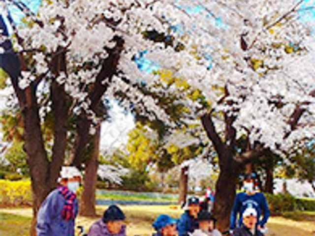 桜と共に春を感じる空間 イベント 四季折々の自然を身近に感じながら、利用者の方々が憩うここはゆったりとした中庭です。暖かい季節には、外で心地よいひと時をお過ごしいただけます。
