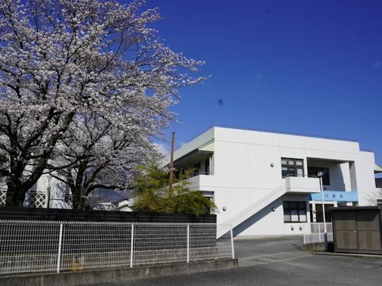 桜のある建物外観  