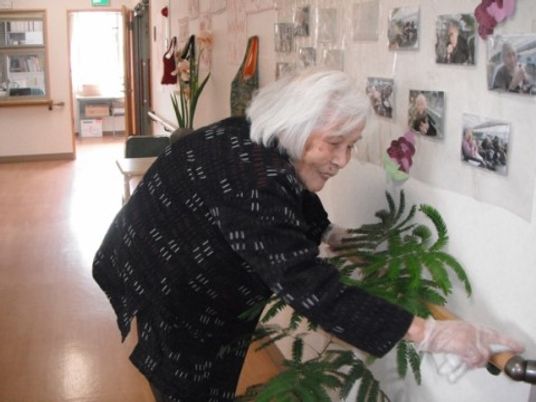 廊下で植物に触れる利用者