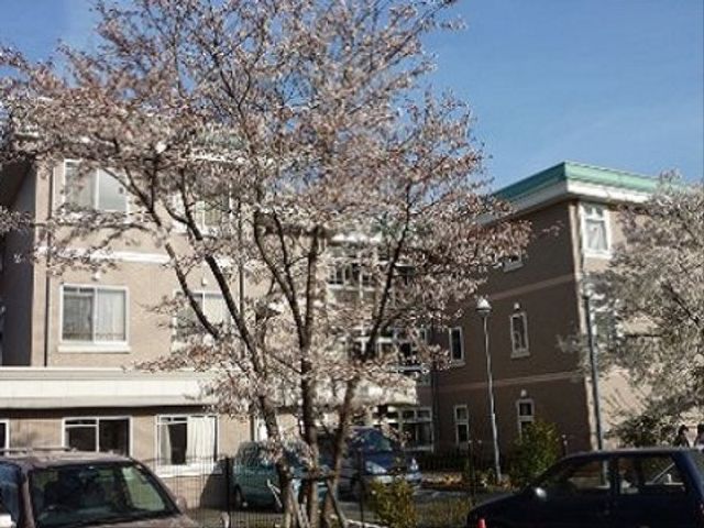 桜並木と施設の外観 外観 桜の木が並ぶ穏やかな環境の中にある外観です。四季の変化を身近に感じながら、快適な勤務をお考えいただける場所となっております。