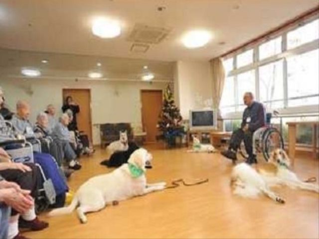 癒しの動物と利用者 共用スペース ゆったりしたラウンジでの、動物たちとのふれあいの時間です。笑顔や安らぎをお楽しみになっている様子が伝わります。