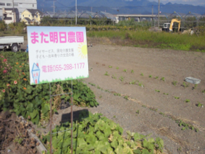 畑のある庭  