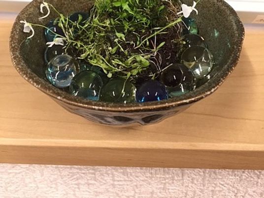 小鉢のある棚  