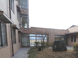 穏やかな中庭の風景