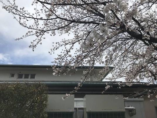 春の施設外観  