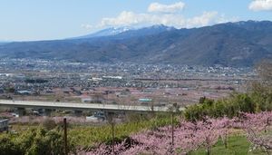 山と花のある風景