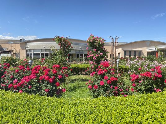花咲く庭と建物外観  