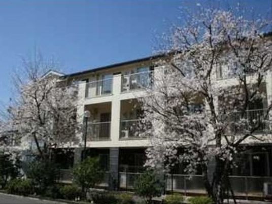 桜木に囲まれた建物外観