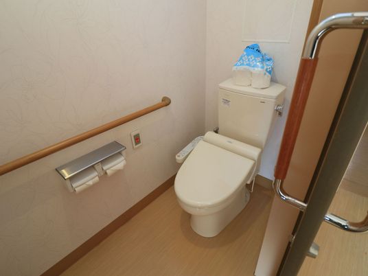 施設の写真 トイレはライトブラウンを基調としたシンプルな内装である。扉は引き戸で、内部の壁には手すりを設置している。