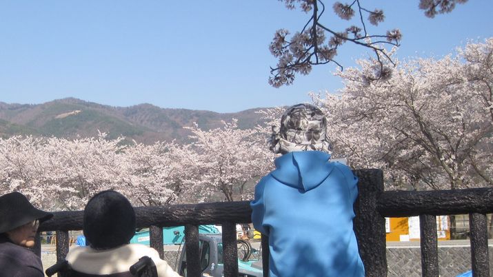 桜が見える庭