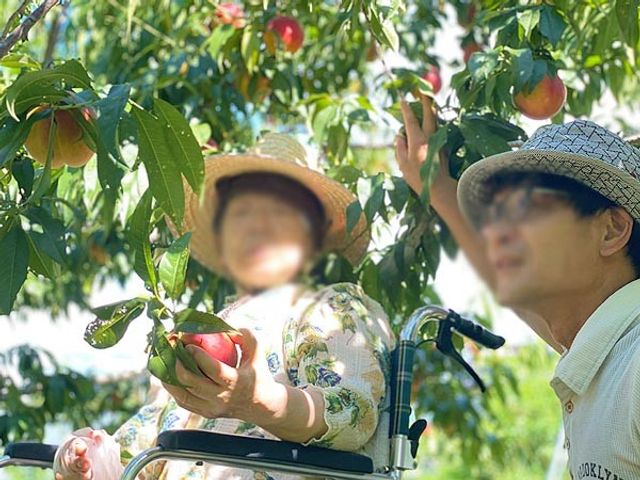 果樹園での活動 庭 季節の果実を収穫しながら自然を満喫できます。リフレッシュしながら心豊かな時間を過ごせます。
