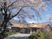桜並木の建物外観  