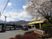 満開の桜のある建物外観