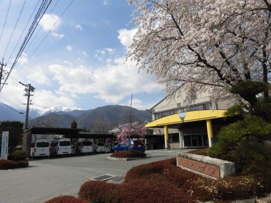 満開の桜のある建物外観