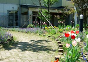 花壇のある庭