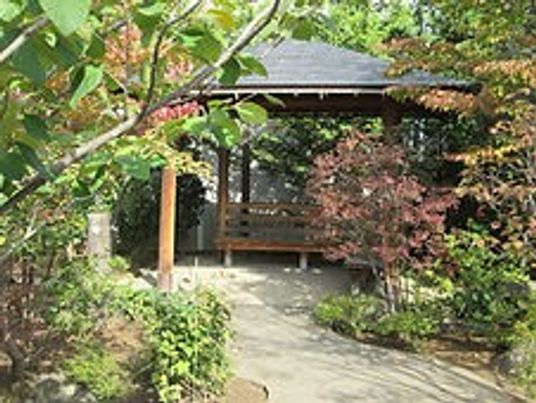 自然あふれる庭