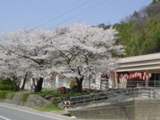 桜が見える外観  