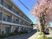 桜並木の外観  