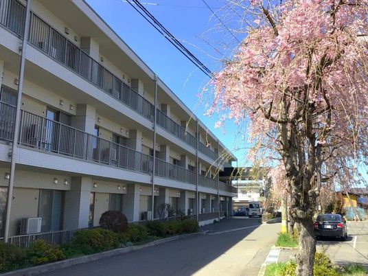 桜並木の外観  