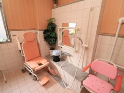 ピンクのシャワー椅子浴室